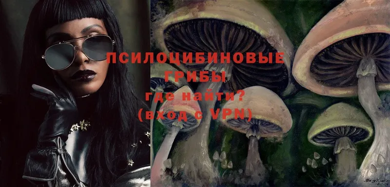 Псилоцибиновые грибы Psilocybine cubensis  Монино 